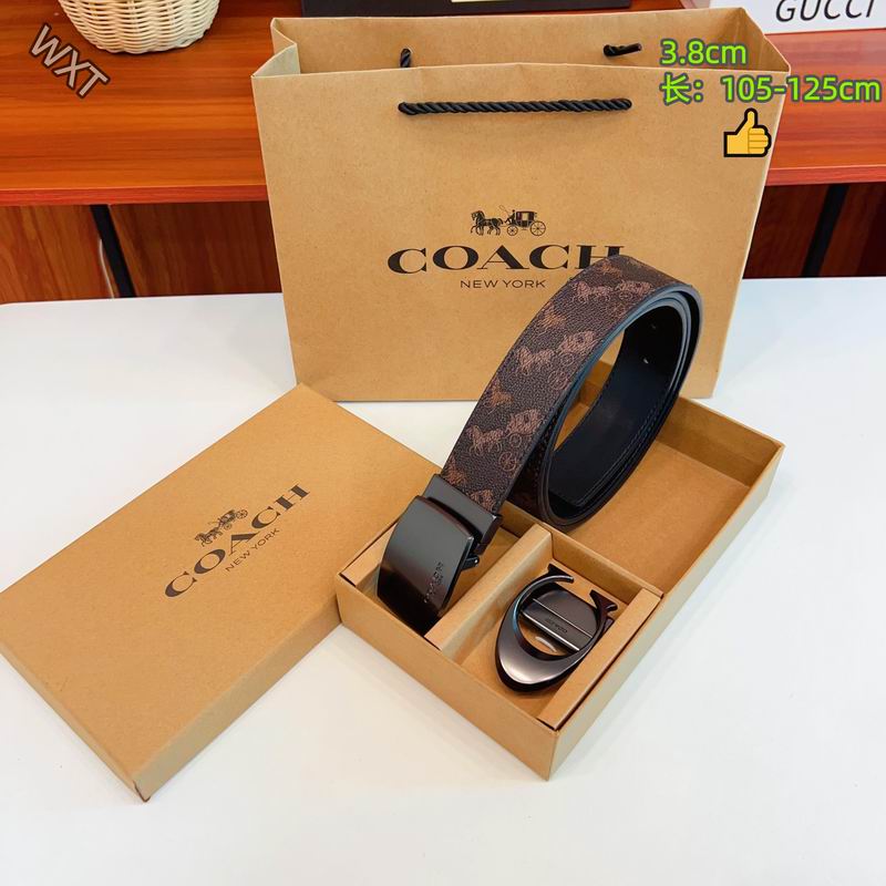 Coach belt 38mmX105-125cm 8L35